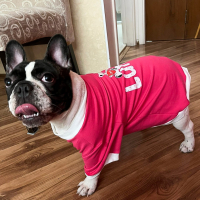 Blusa Love Bear - com o Nome do Pet