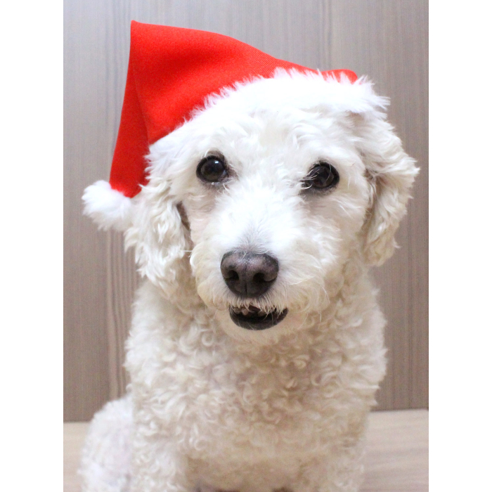 Gorro de Natal