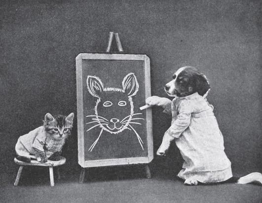 A Gazeta  Pintura de cães e gatos em madeira feita por capixaba é sucesso  na web